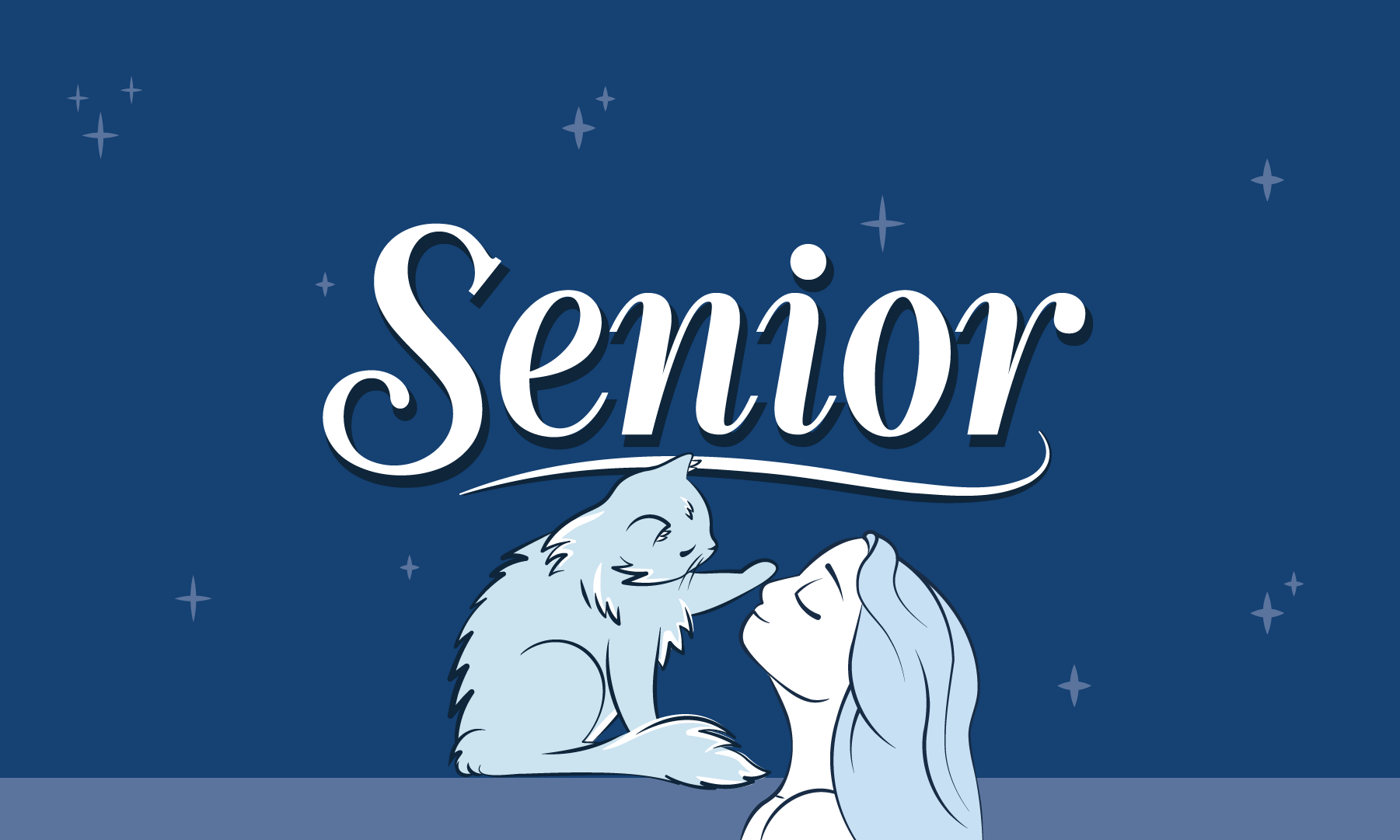 SENIOR-ASSETS_ILLO