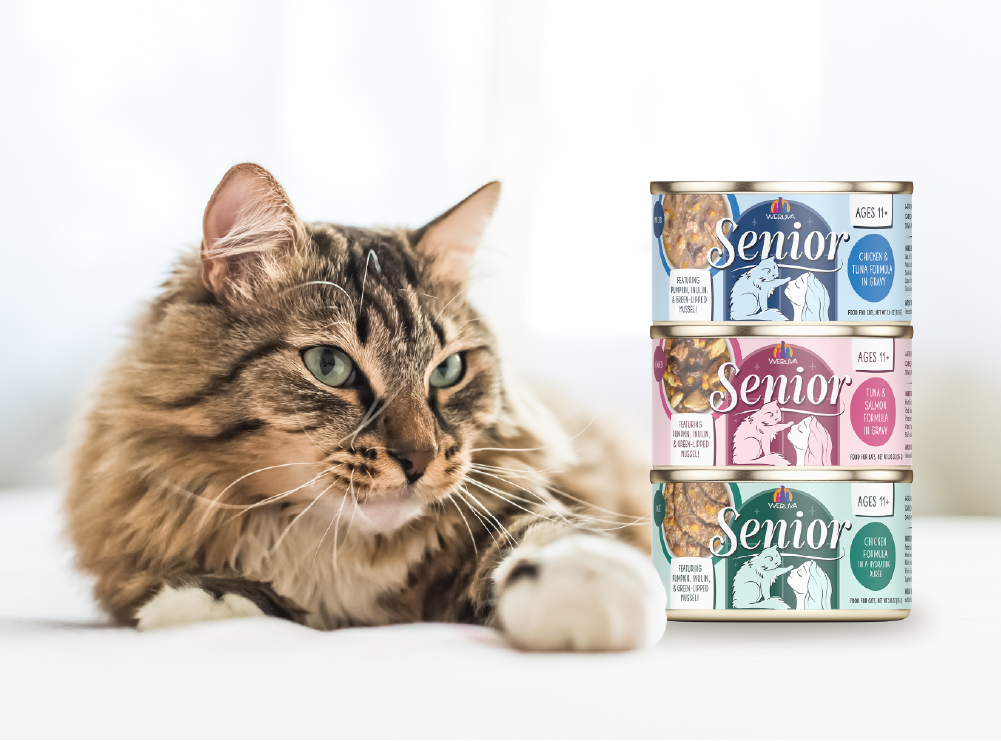 Senior Cat Food Packaging Labels